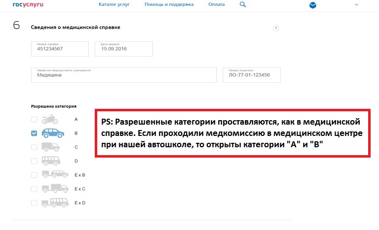 Как получить выписку об аккредитации на госуслугах. Разрешена категория в госуслугах.